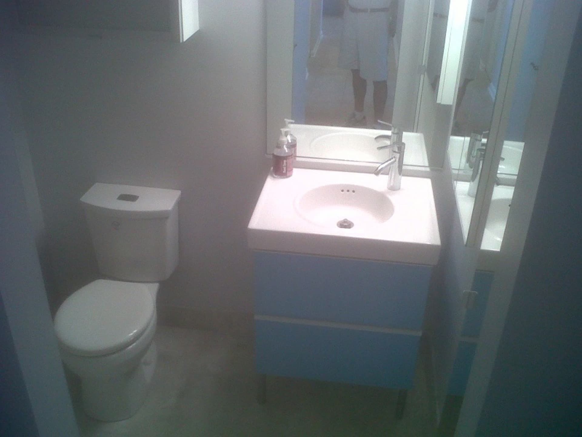 Bathroom remodeling project — Alexandria, VA