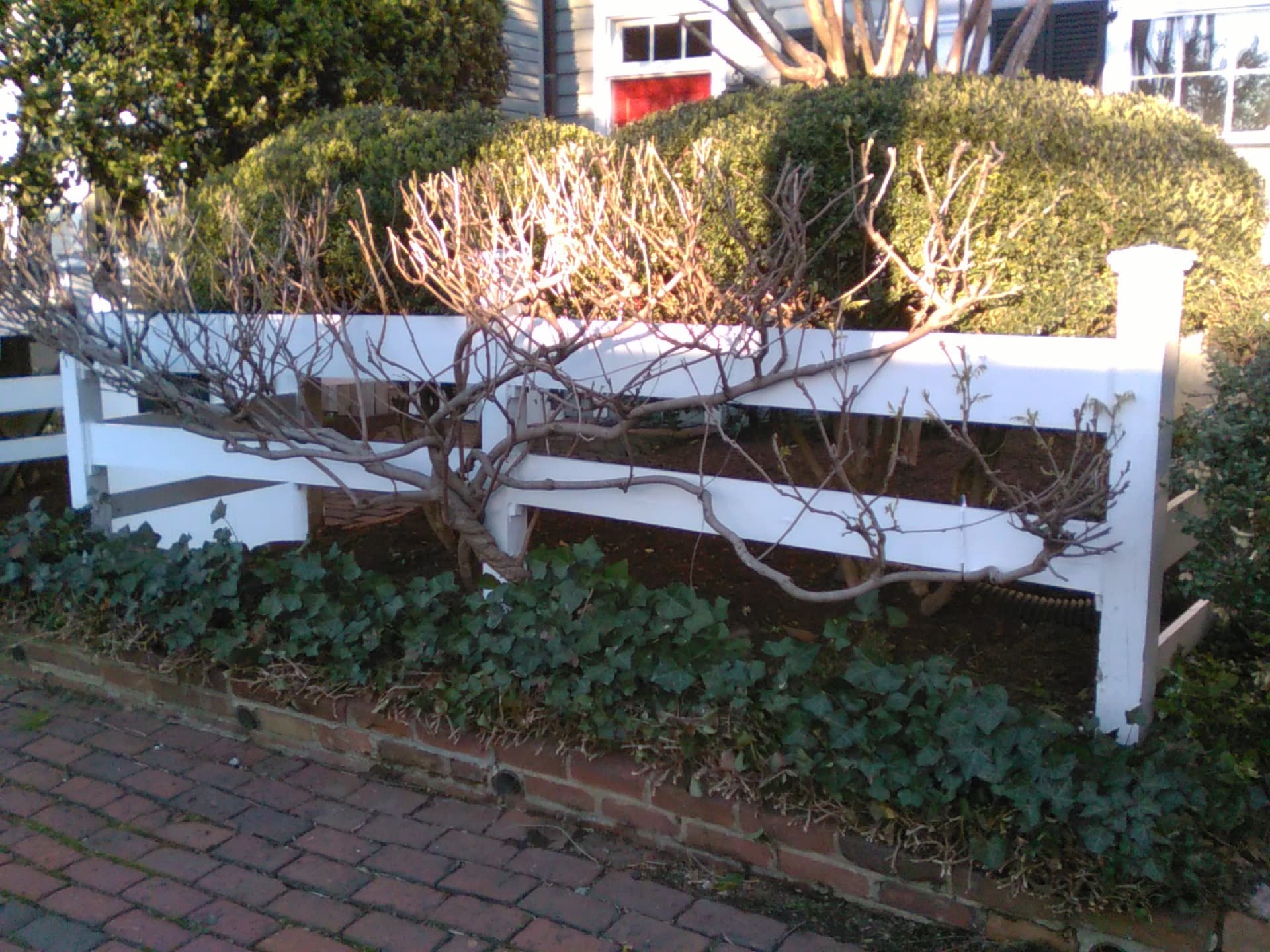 Window services — Northern Virginia
