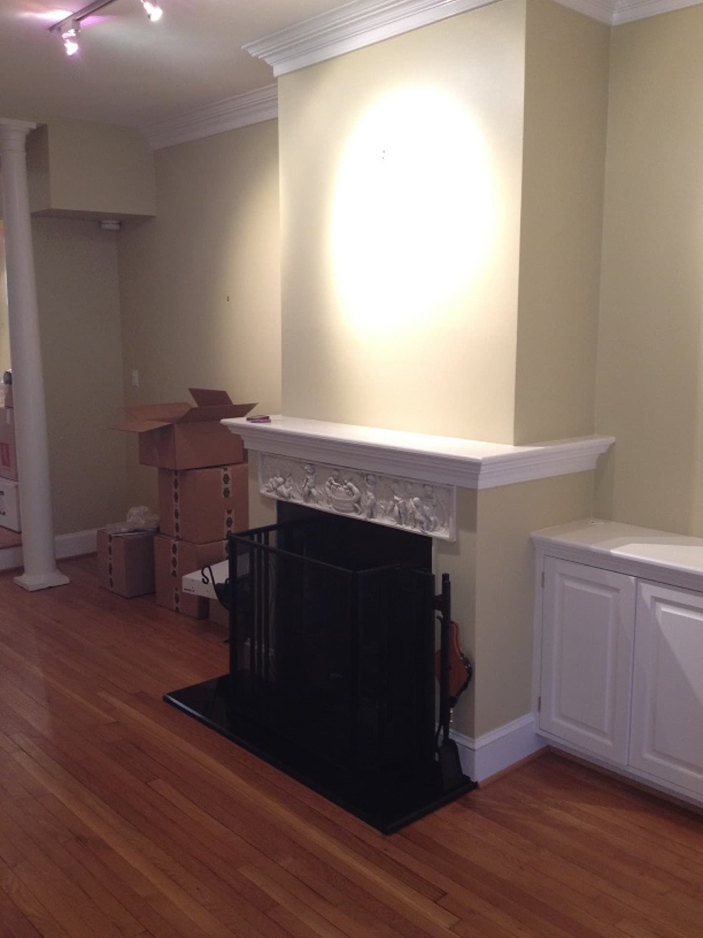 Finished basement — Northern Virginia