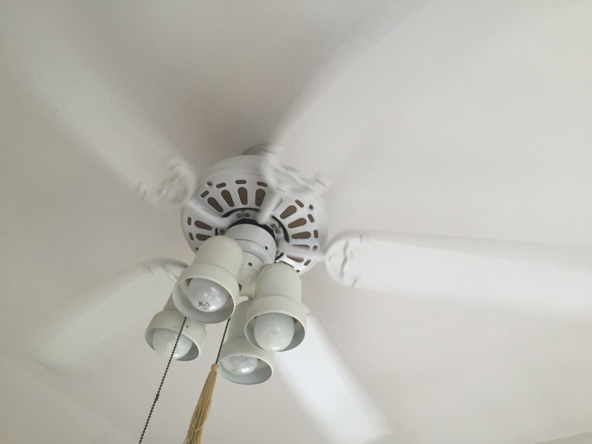 Painting services — Alexandria, VA